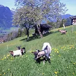Hof Hamoos * Kitzbühel