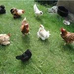 Hof Hamoos Lägenhet *