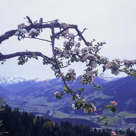 Hof Hamoos Kitzbühel