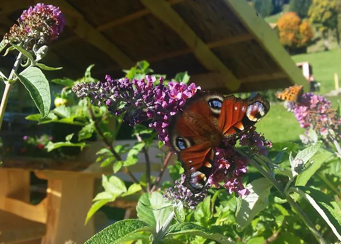 Appartement Hof Hamoos *