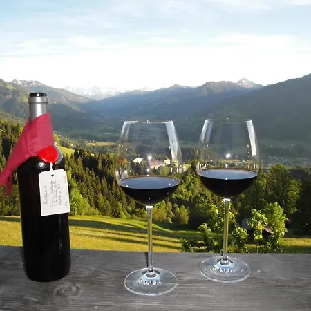 Hof Hamoos Apartment Kitzbuhel