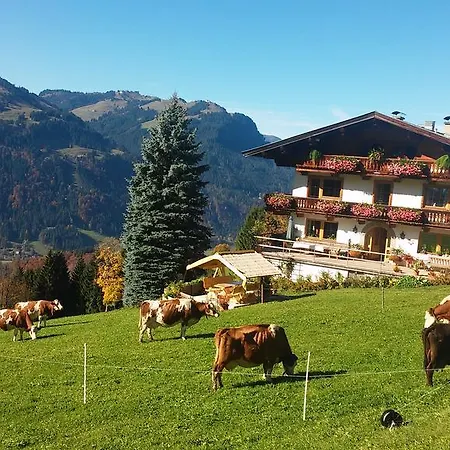 Hof Hamoos Apartamento Kitzbühel