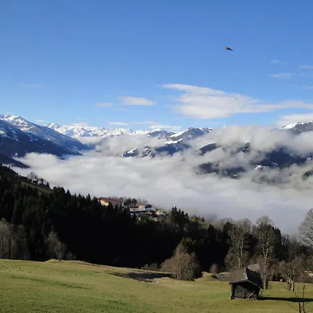 Hof Hamoos Apartment